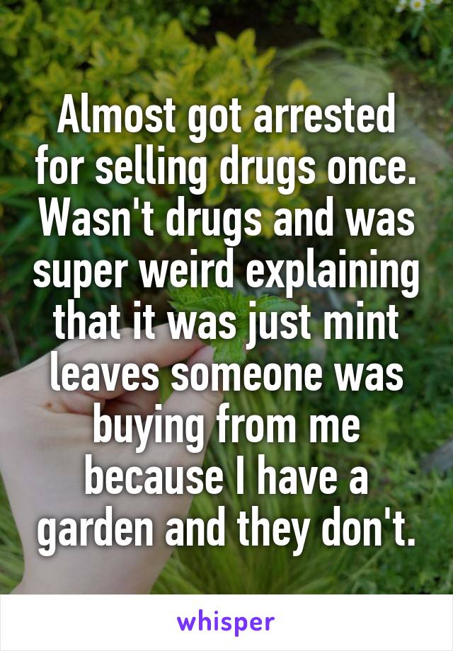 Almost got arrested for selling drugs once. Wasn't drugs and was super weird explaining that it was just mint leaves someone was buying from me because I have a garden and they don't.