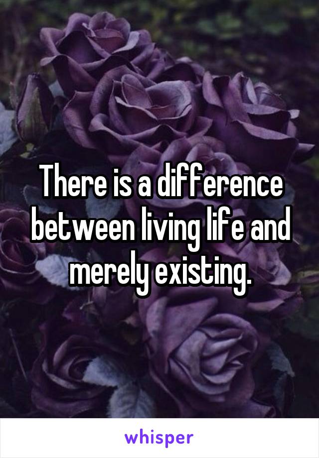 There is a difference between living life and merely existing.