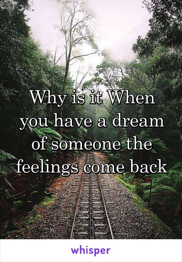 Why is it When you have a dream of someone the feelings come back