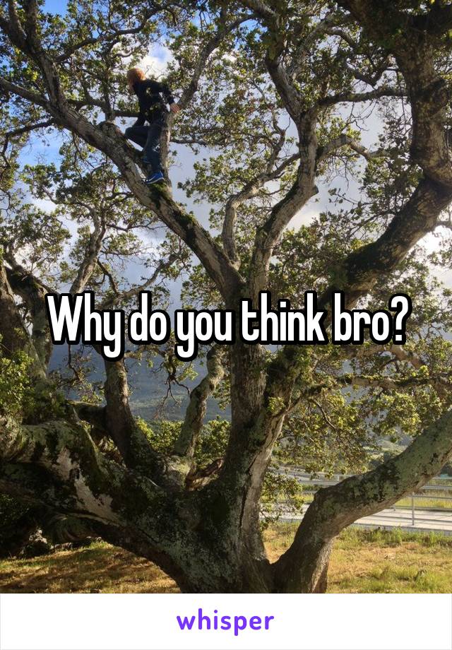 Why do you think bro?