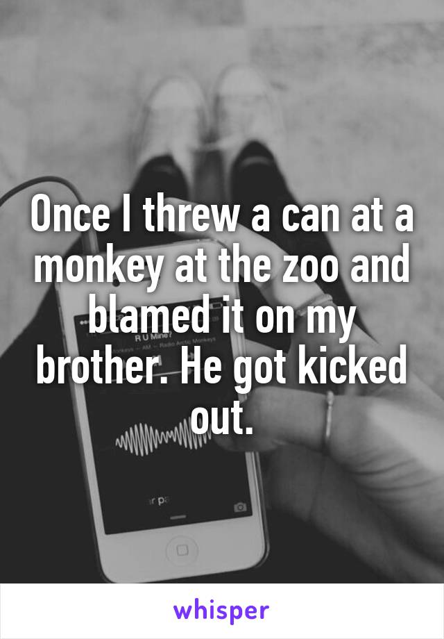Once I threw a can at a monkey at the zoo and blamed it on my brother. He got kicked out.