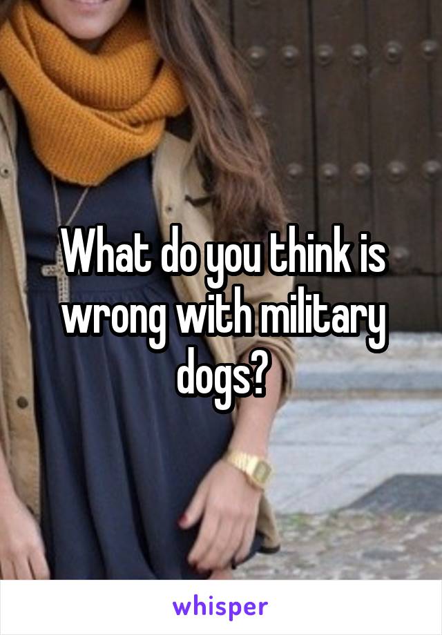What do you think is wrong with military dogs?