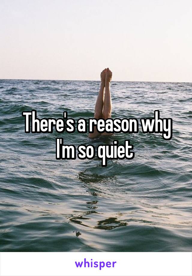 There's a reason why I'm so quiet 