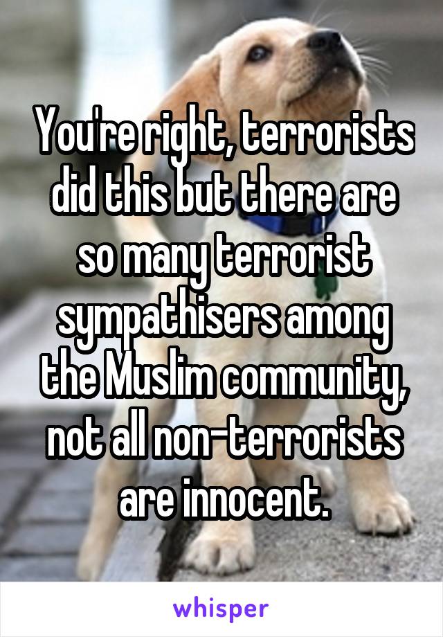 You're right, terrorists did this but there are so many terrorist sympathisers among the Muslim community, not all non-terrorists are innocent.