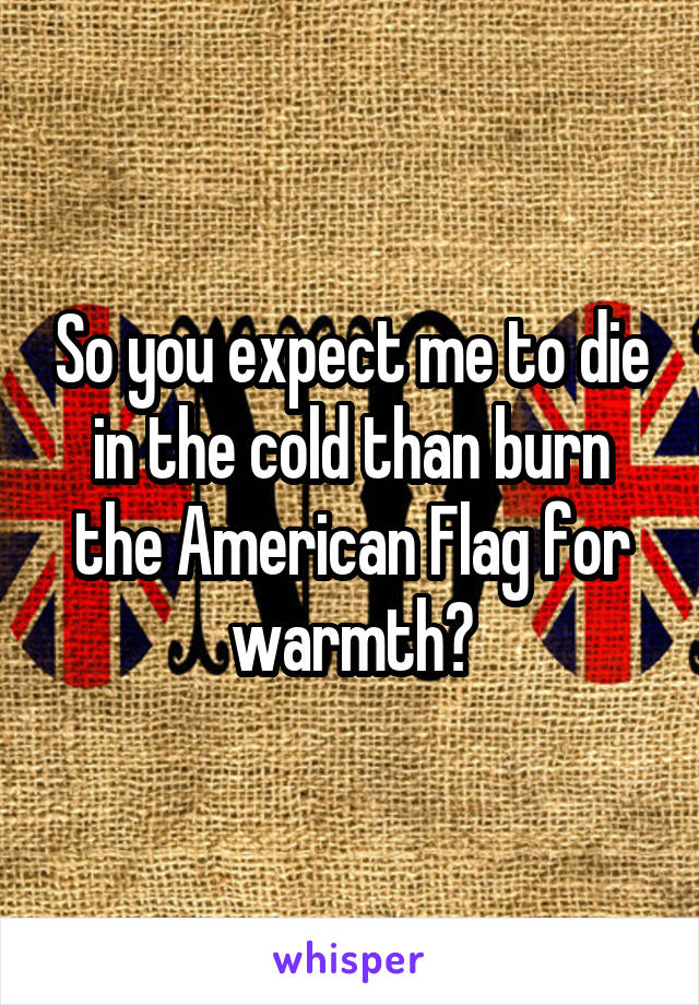 So you expect me to die in the cold than burn the American Flag for warmth?