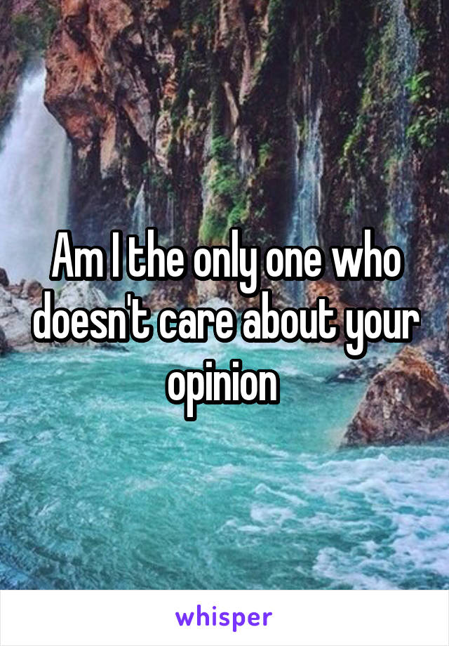 Am I the only one who doesn't care about your opinion 
