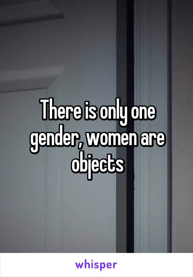 There is only one gender, women are objects