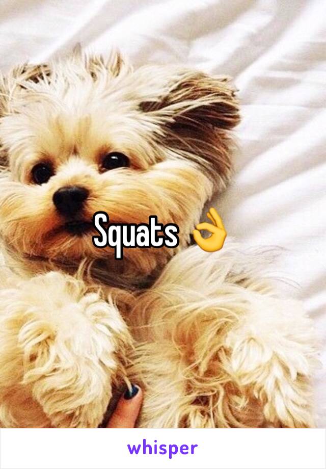 Squats 👌