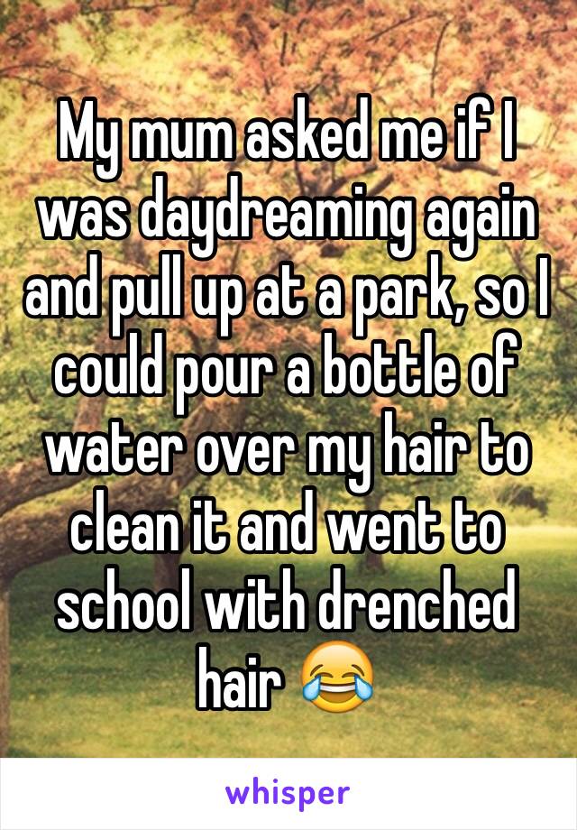 My mum asked me if I was daydreaming again and pull up at a park, so I could pour a bottle of water over my hair to clean it and went to school with drenched hair 😂