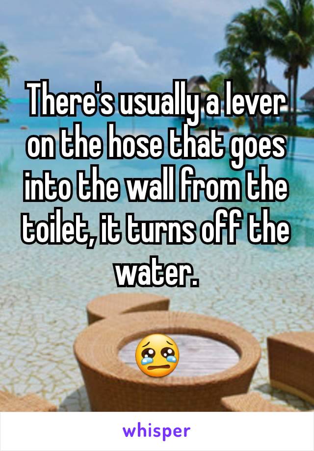 There's usually a lever on the hose that goes into the wall from the toilet, it turns off the water.

😢