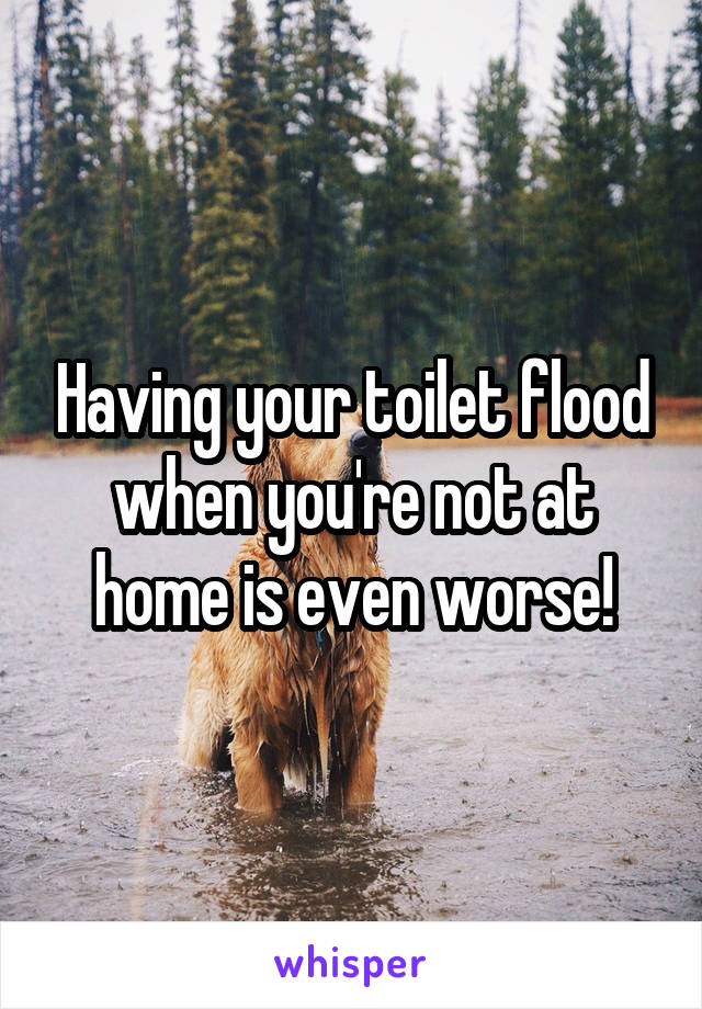 Having your toilet flood when you're not at home is even worse!