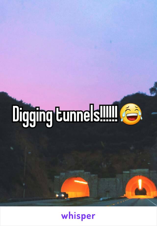 Digging tunnels!!!!!!😂