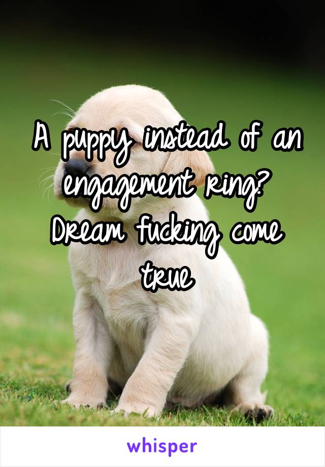 A puppy instead of an engagement ring? Dream fucking come true
