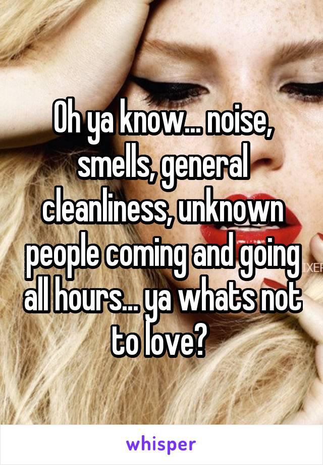 Oh ya know... noise, smells, general cleanliness, unknown people coming and going all hours... ya whats not to love? 
