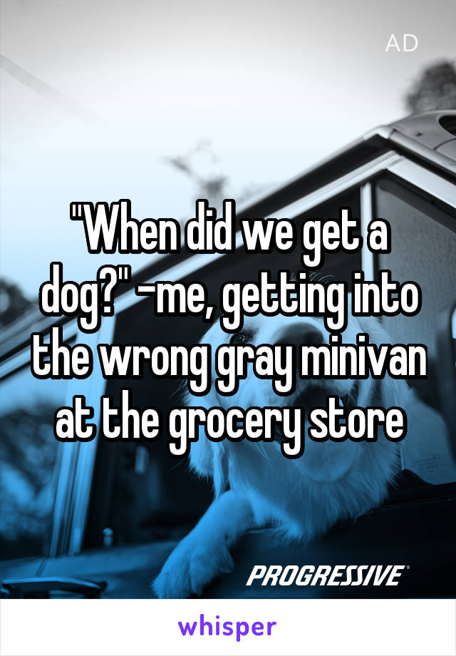 "When did we get a dog?" -me, getting into the wrong gray minivan at the grocery store