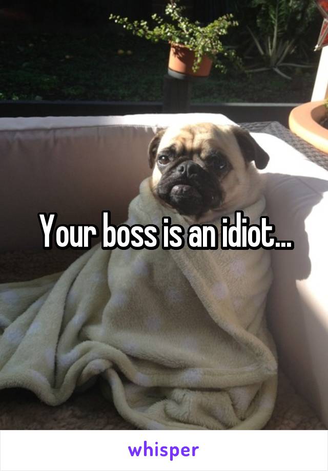 Your boss is an idiot...