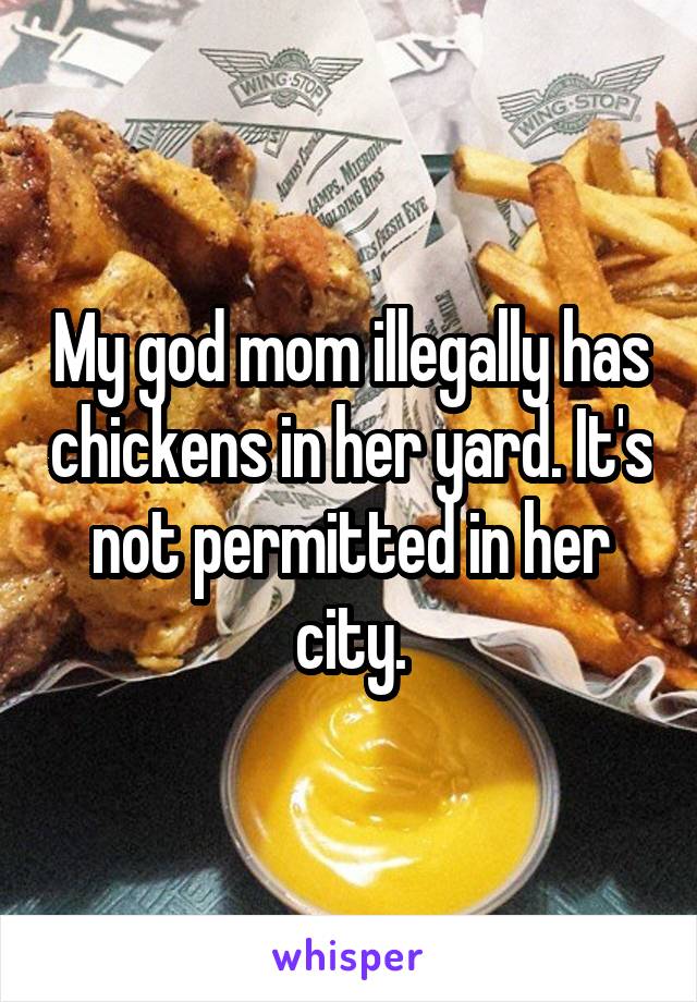 My god mom illegally has chickens in her yard. It's not permitted in her city.