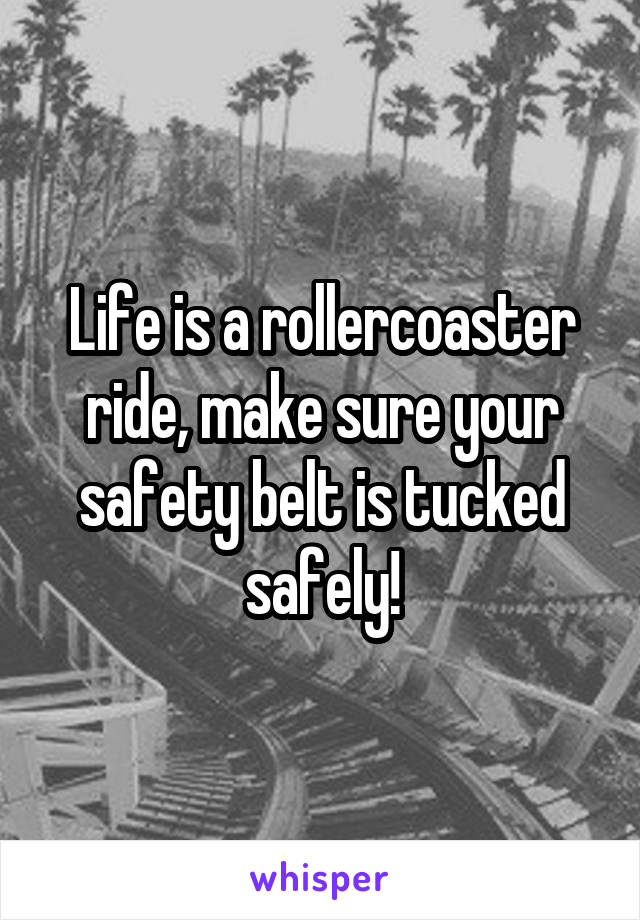 Life is a rollercoaster ride, make sure your safety belt is tucked safely!