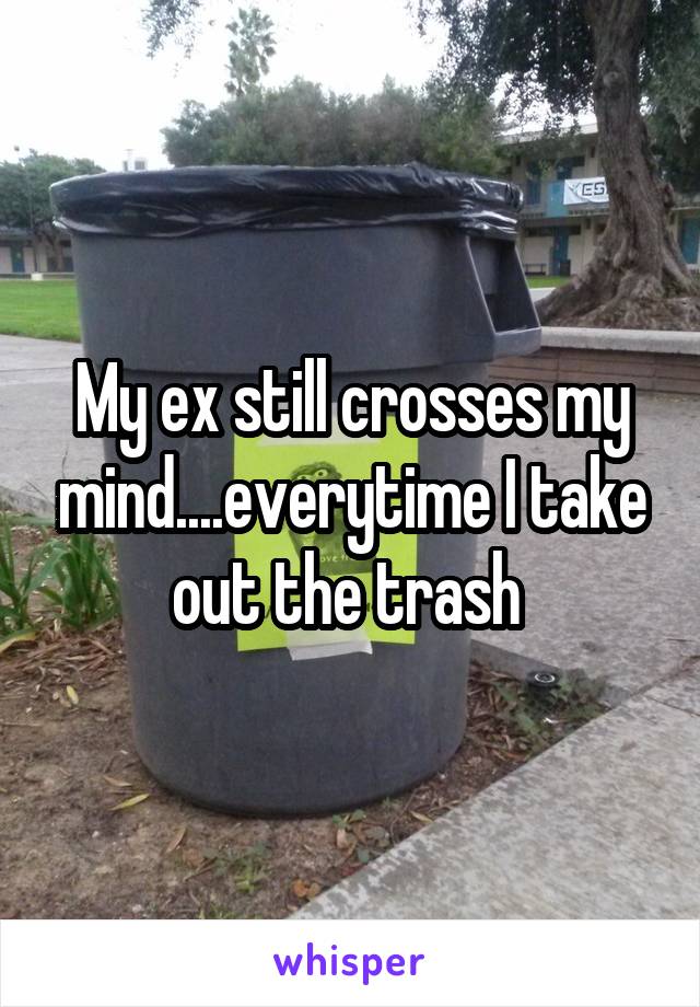 My ex still crosses my mind....everytime I take out the trash 