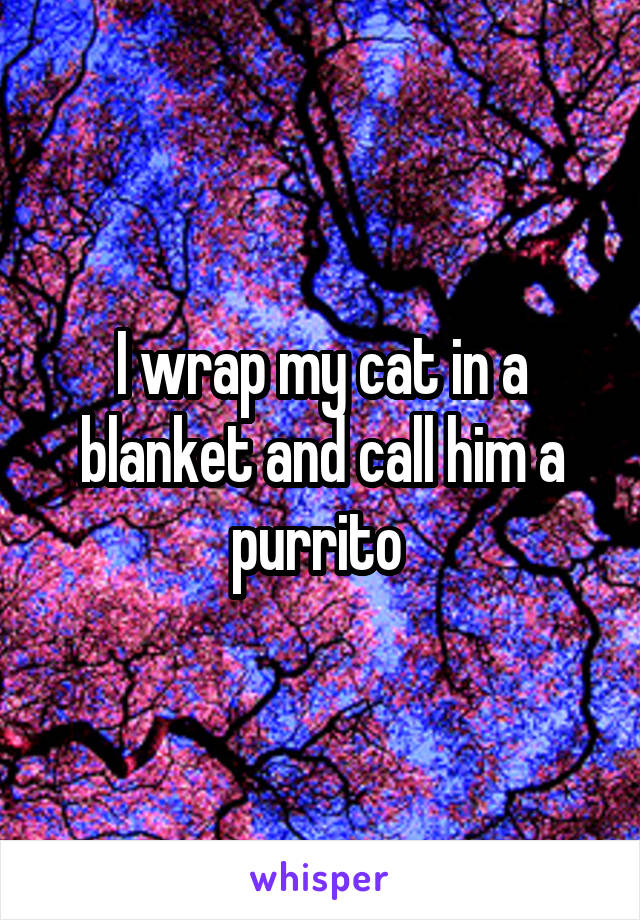 I wrap my cat in a blanket and call him a purrito 