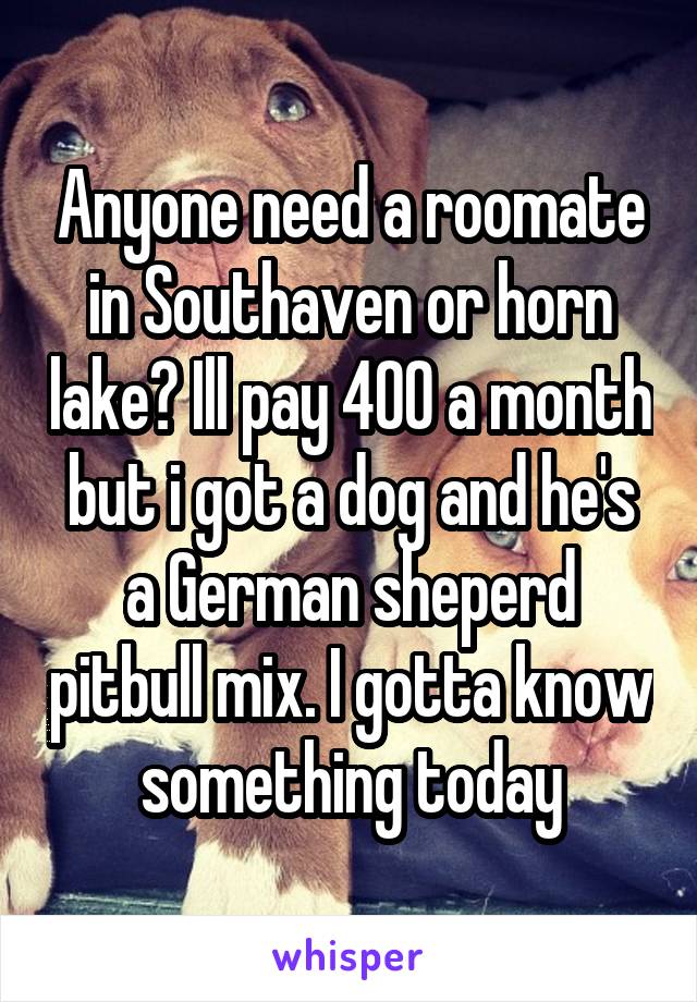 Anyone need a roomate in Southaven or horn lake? Ill pay 400 a month but i got a dog and he's a German sheperd pitbull mix. I gotta know something today