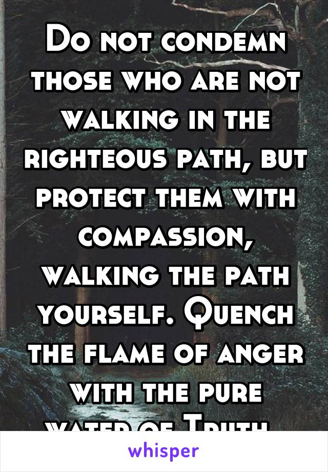 Do not condemn those who are not walking in the righteous path, but protect them with compassion, walking the path yourself. Quench the flame of anger with the pure water of Truth. 