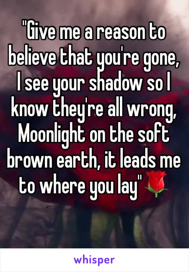 "Give me a reason to believe that you're gone, I see your shadow so I know they're all wrong, Moonlight on the soft brown earth, it leads me to where you lay"🌹