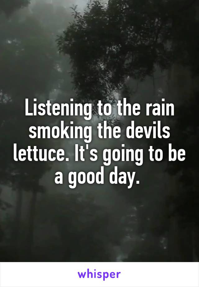 Listening to the rain smoking the devils lettuce. It's going to be a good day. 