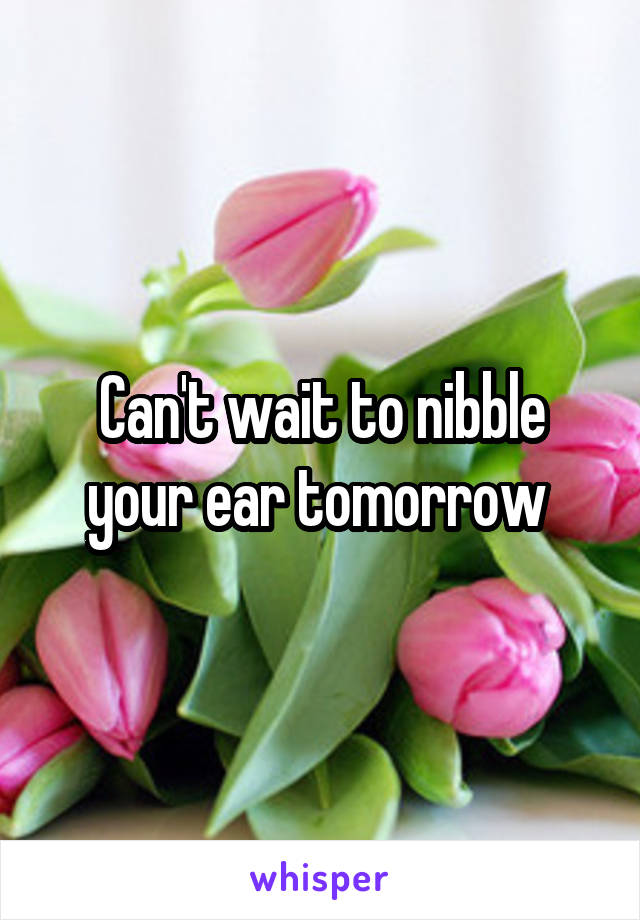 Can't wait to nibble your ear tomorrow 