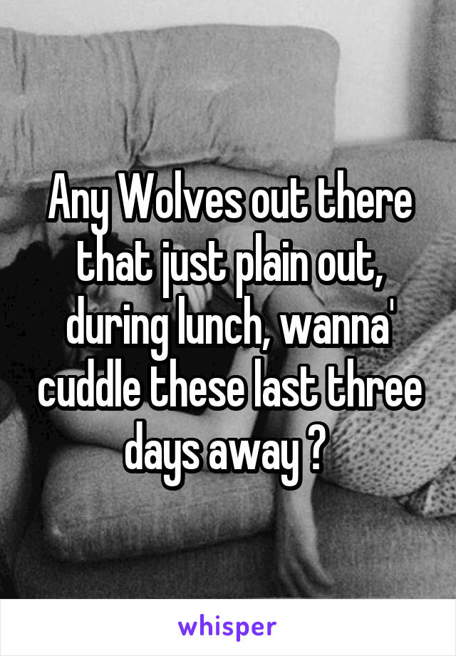 Any Wolves out there that just plain out, during lunch, wanna' cuddle these last three days away ? 