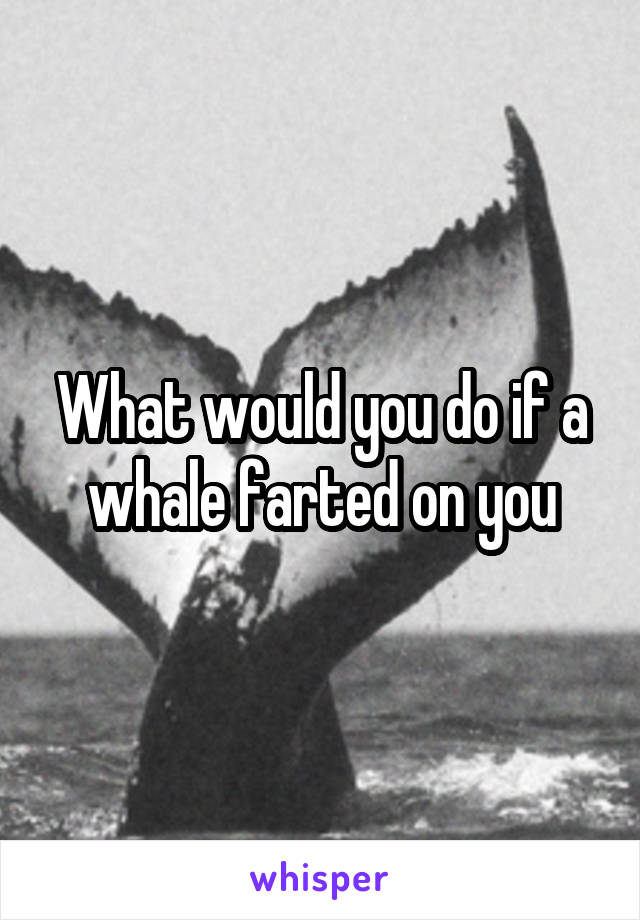 What would you do if a whale farted on you