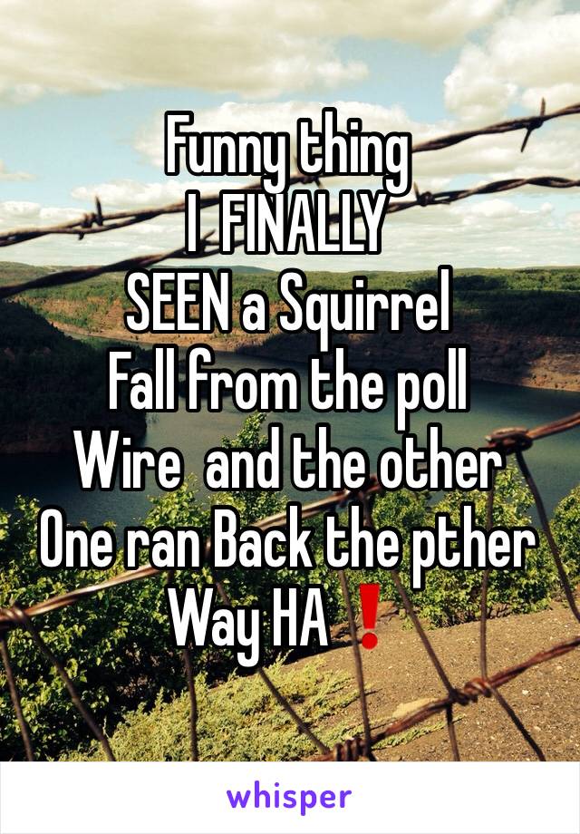 Funny thing 
I  FINALLY
SEEN a Squirrel 
Fall from the poll
Wire  and the other 
One ran Back the pther
Way HA❗️