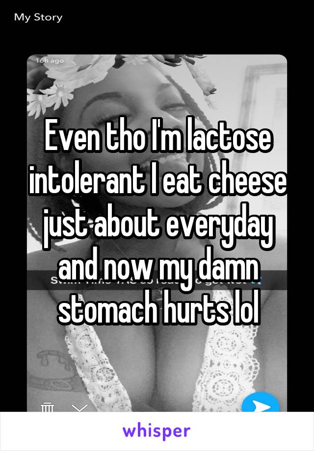 Even tho I'm lactose intolerant I eat cheese just about everyday and now my damn stomach hurts lol