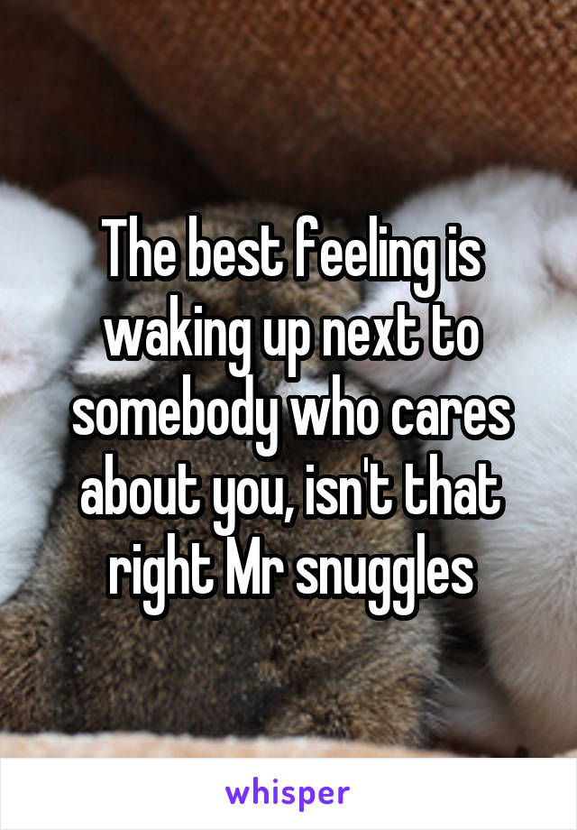 The best feeling is waking up next to somebody who cares about you, isn't that right Mr snuggles