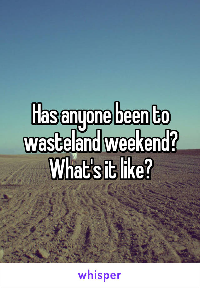 Has anyone been to wasteland weekend? What's it like?