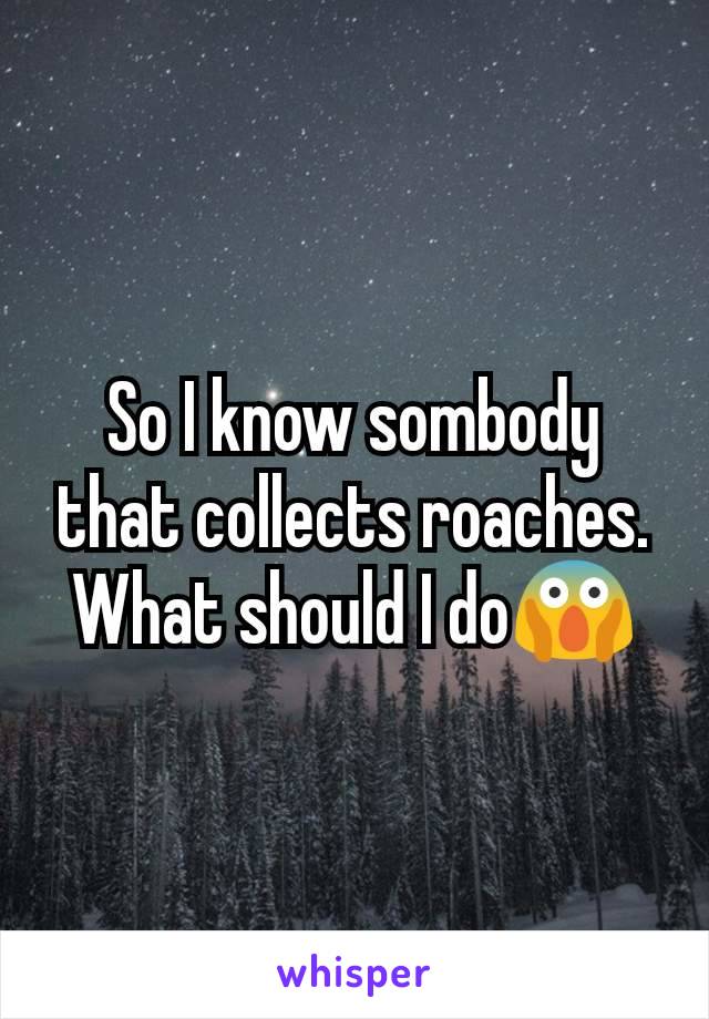 So I know sombody that collects roaches. What should I do😱