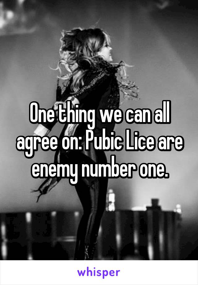 One thing we can all agree on: Pubic Lice are enemy number one.