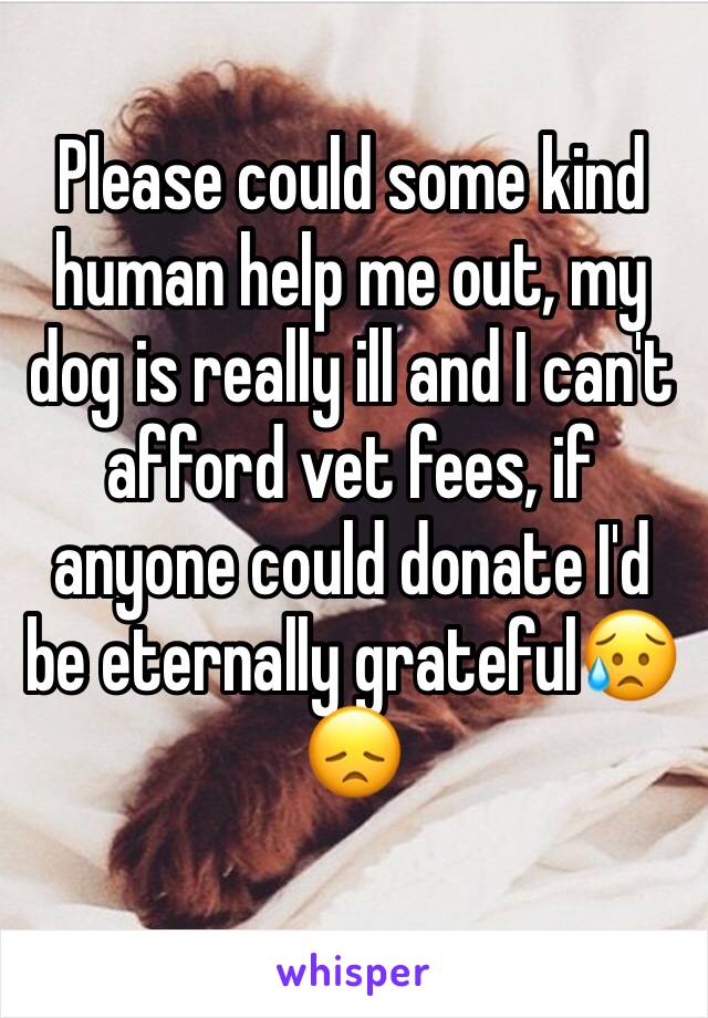 Please could some kind human help me out, my dog is really ill and I can't afford vet fees, if anyone could donate I'd be eternally grateful😥😞