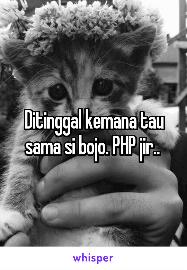 Ditinggal kemana tau sama si bojo. PHP jir.. 