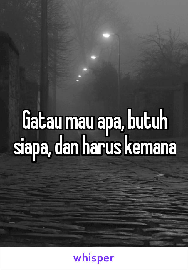 Gatau mau apa, butuh siapa, dan harus kemana