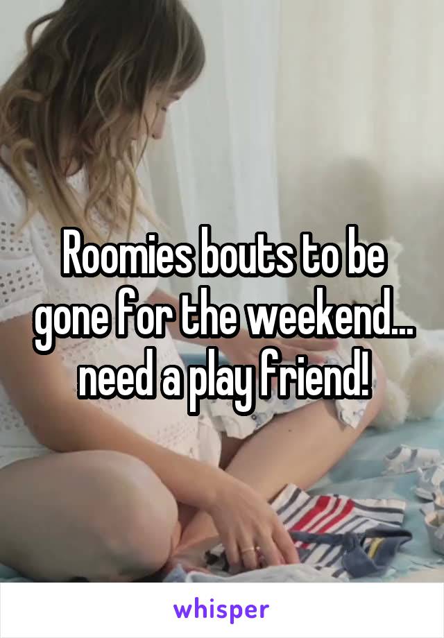 Roomies bouts to be gone for the weekend... need a play friend!