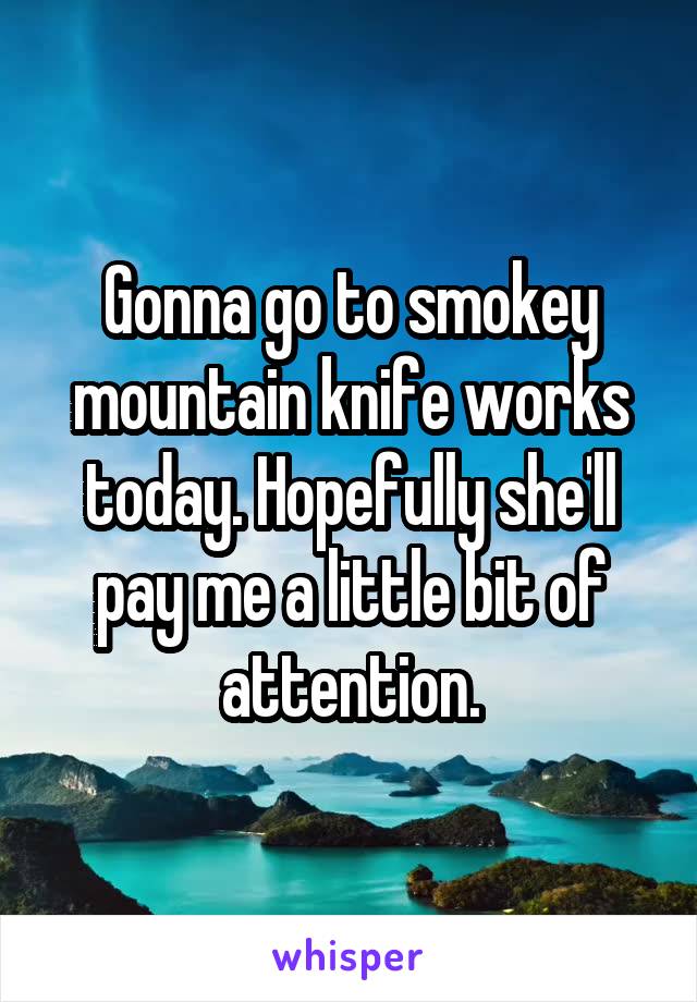 Gonna go to smokey mountain knife works today. Hopefully she'll pay me a little bit of attention.