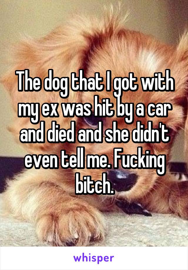 The dog that I got with my ex was hit by a car and died and she didn't even tell me. Fucking bitch.