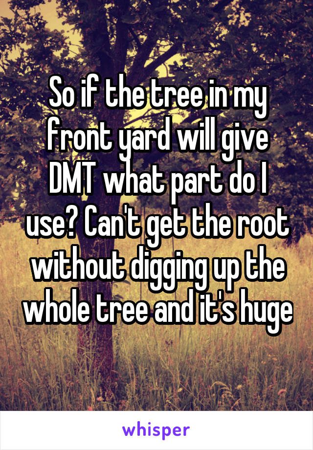 So if the tree in my front yard will give DMT what part do I use? Can't get the root without digging up the whole tree and it's huge 