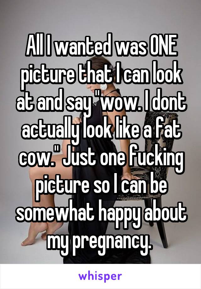 All I wanted was ONE picture that I can look at and say "wow. I dont actually look like a fat cow." Just one fucking picture so I can be somewhat happy about my pregnancy. 