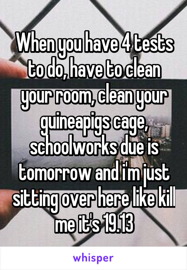 When you have 4 tests to do, have to clean your room, clean your guineapigs cage, schoolworks due is tomorrow and i'm just sitting over here like kill me it's 19.13