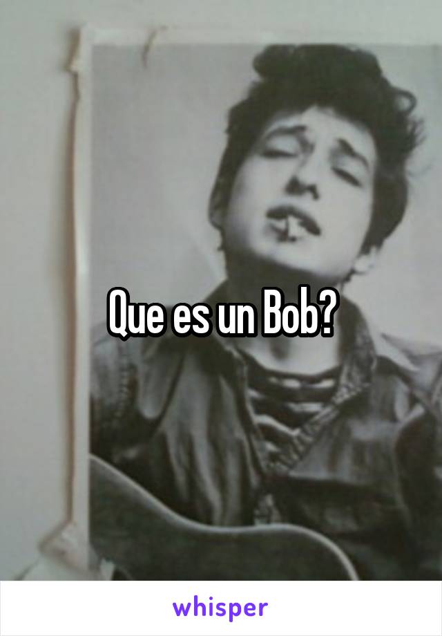 Que es un Bob?