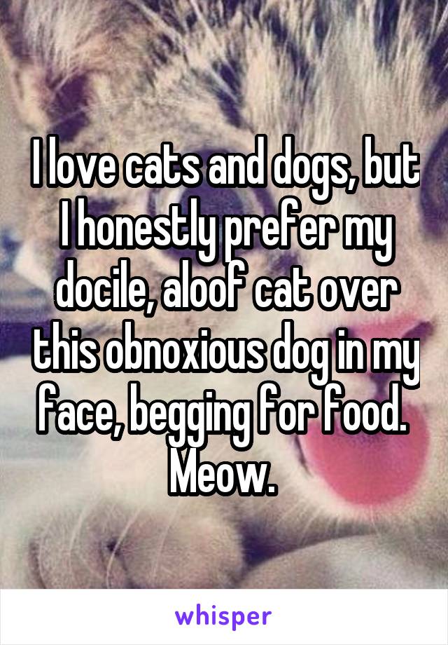 I love cats and dogs, but I honestly prefer my docile, aloof cat over this obnoxious dog in my face, begging for food.  Meow. 