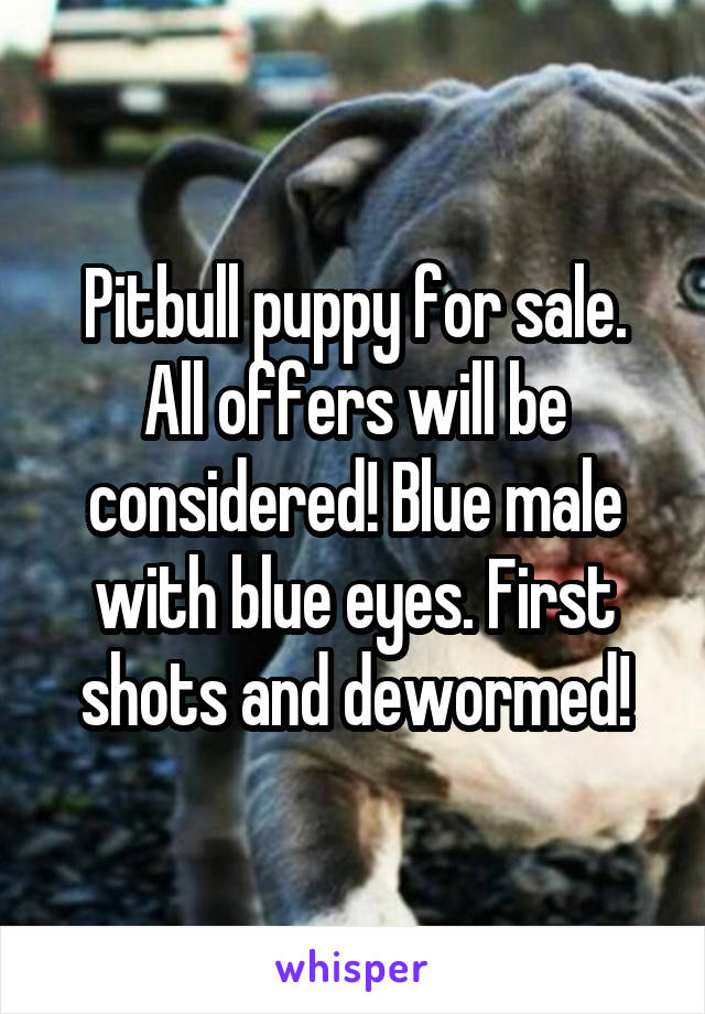 Pitbull puppy for sale. All offers will be considered! Blue male with blue eyes. First shots and dewormed!