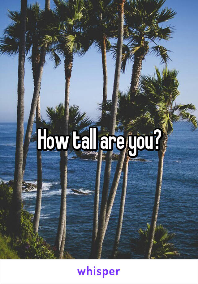 How tall are you?